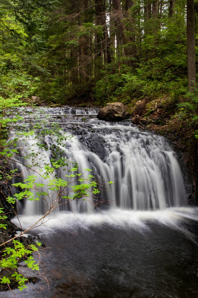 Multi-tiered waterfall in lush forest, symbolizing authentic leadership training
