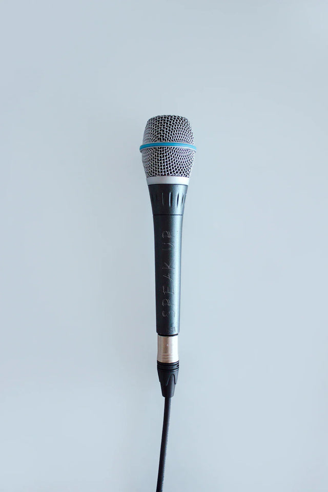 Professional dynamic microphone with metallic mesh grille for transformative lessons learned