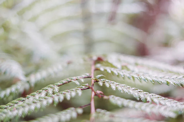 The Role of Challenges in Personal Growth