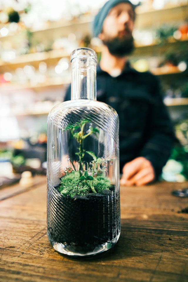 Glass bottle terrarium with small plant symbolizing personal growth and market differentiation
