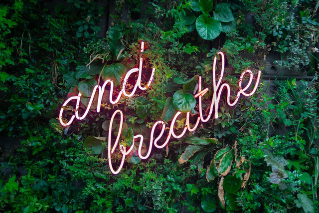 Neon sign with and breathe on lush green wall symbolizing vision boards for Shopify store success