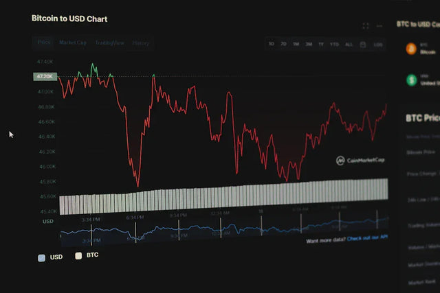 Digital cryptocurrency chart showing Bitcoin price fluctuations against USD for tracking metrics