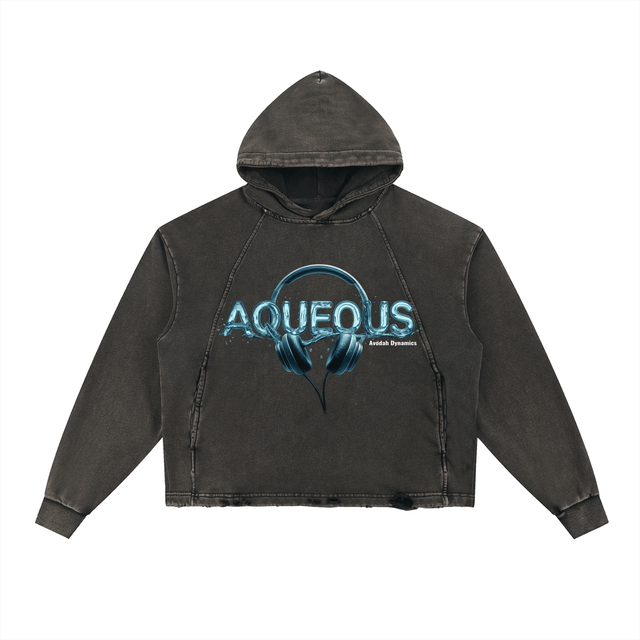 AQUEOUS — Hoodie + Digital Download + eBook - Avodah Dynamics