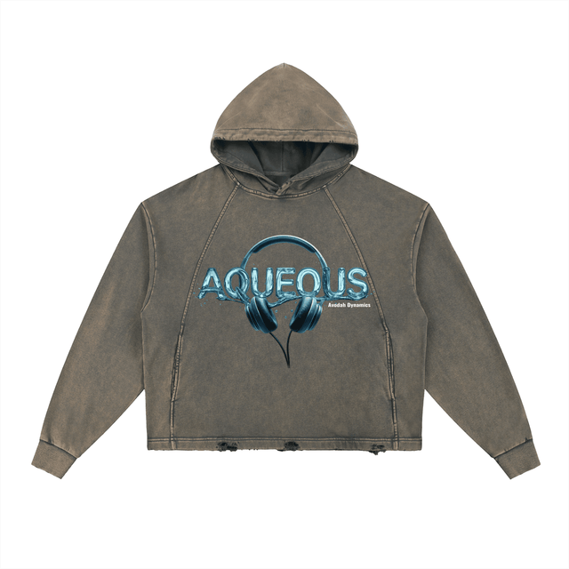 AQUEOUS — Hoodie + Digital Download + eBook - Avodah Dynamics