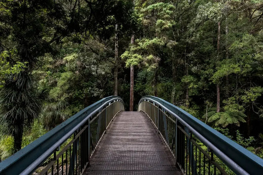 Metal footbridge in woods, promoting work-life balance routine