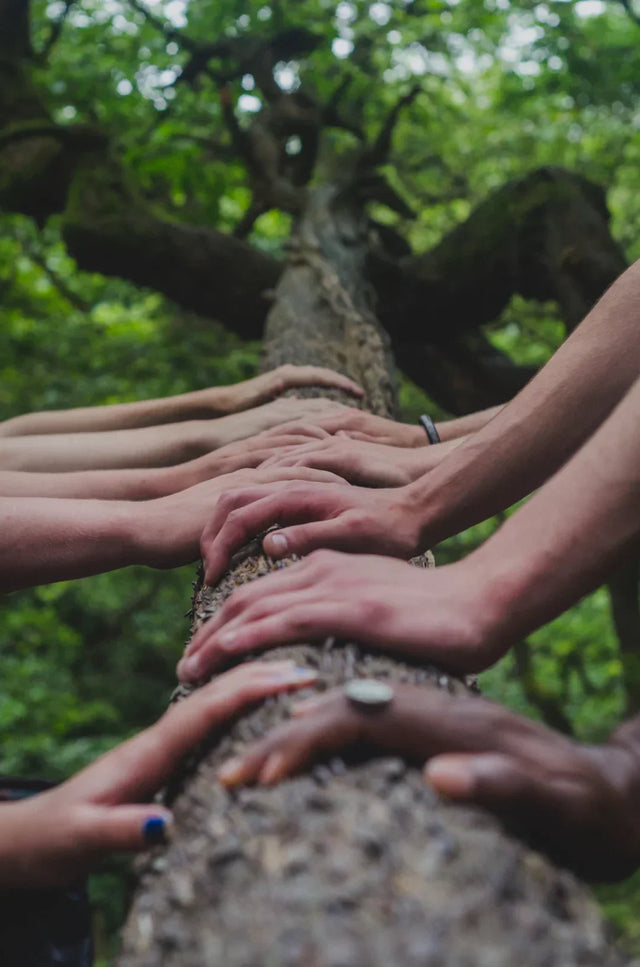 Diverse hands on tree trunk symbolizing community support for personal development