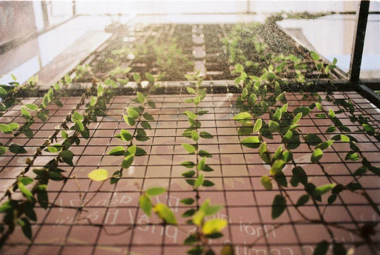 Key Lessons Learned This Year Embracing Change and Finding Purpose - Avodah Dynamics