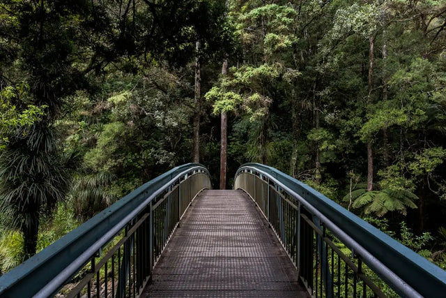 Metal footbridge with railings promotes work-life balance in a serene wooded setting.