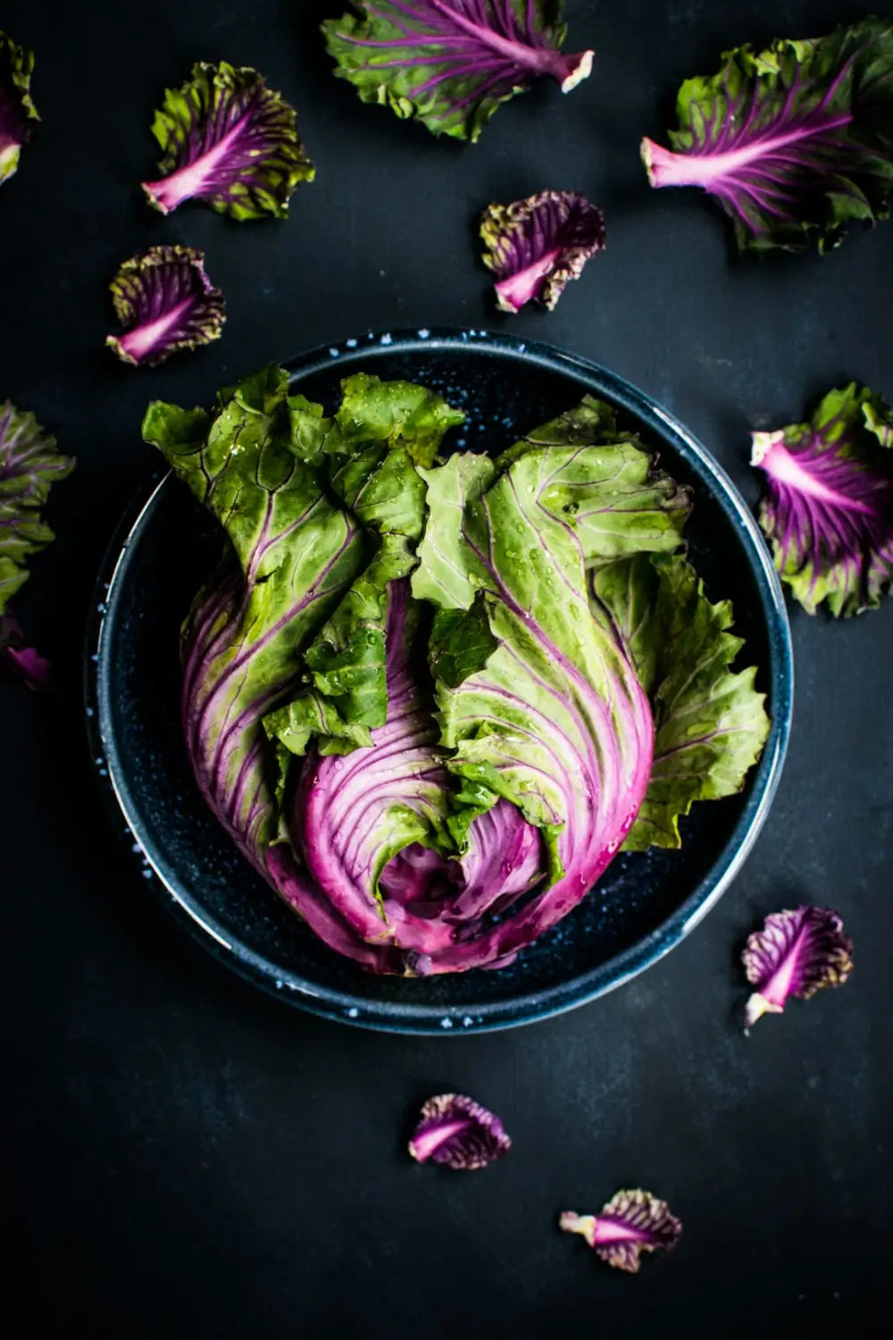 Fresh vibrant purple and green cabbage in a bowl for stress management techniques article