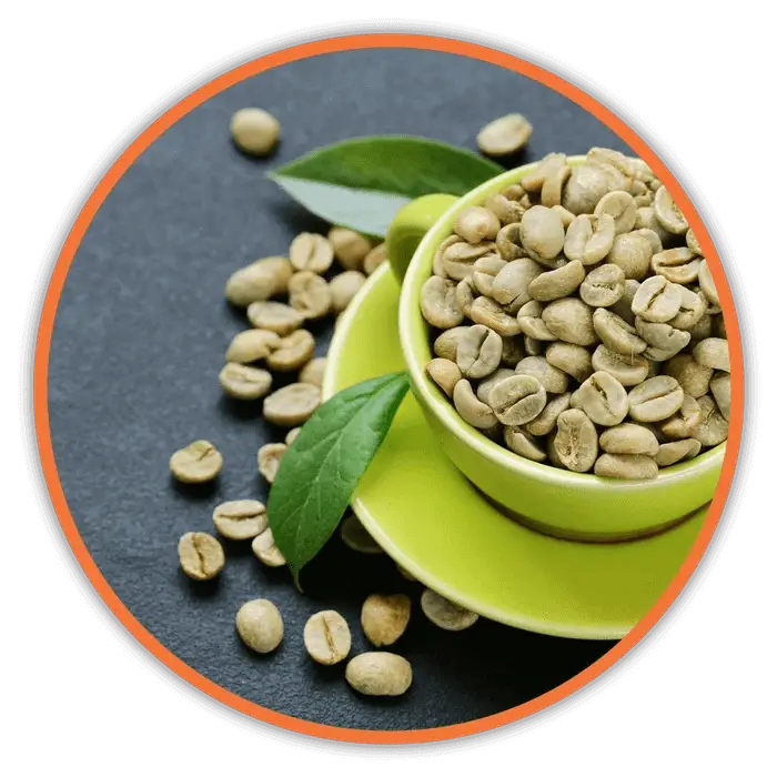 Green Ceramic Bowl of Raw Coffee Beans and Leaves for Perfect Morning Routine